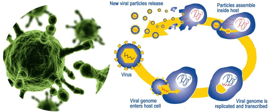 878x360 Custom Viral Service