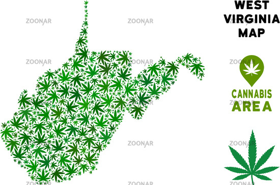 550x363 Photo Vector Cannabis Collage West Virginia State Map Image