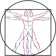 195x195 Vitruvian Man Brands Of The Download Vector Logos And
