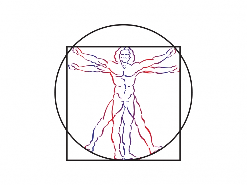 866x650 Vitruvian Man Vector Logo