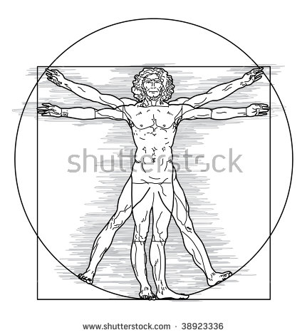 Vitruvian Man Vector Free Download at GetDrawings | Free download