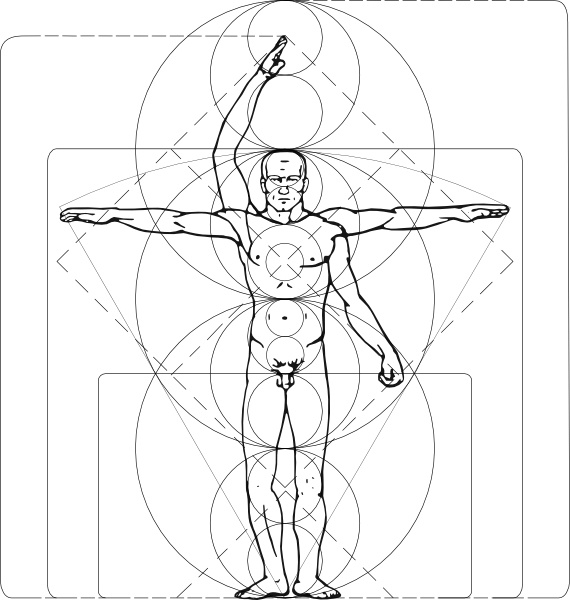 570x600 Vitruvian Man Clip Art Free Vector In Open Office Drawing Svg