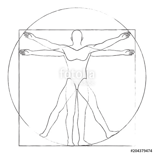 500x500 Vitruvian Man Drawing Vector Stock Image And Royalty Free Vector