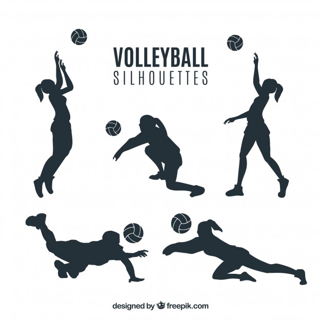 626x626 Volleyball Vectors, Photos And Psd Files Free Download