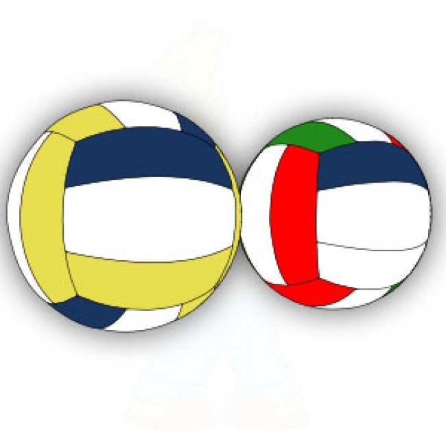 650x650 Free Vectors Volleyball Vector Free