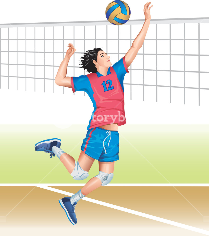 884x1000 Men Volleyball Vector Royalty Free Stock Image