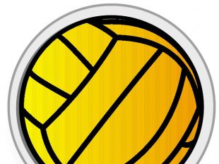 310x233 Volleyball Vector Free Vectors Ui Download