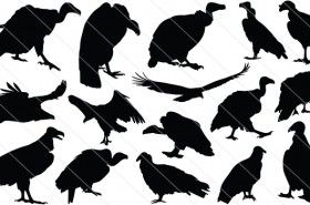 280x185 Vulture Silhouette Vector Graphics Tattoo Back