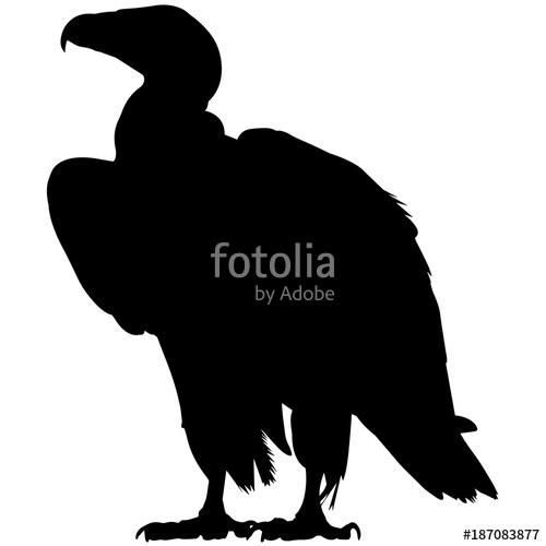 500x500 Vulture Silhouette Vector Graphics Stock Image And Royalty Free