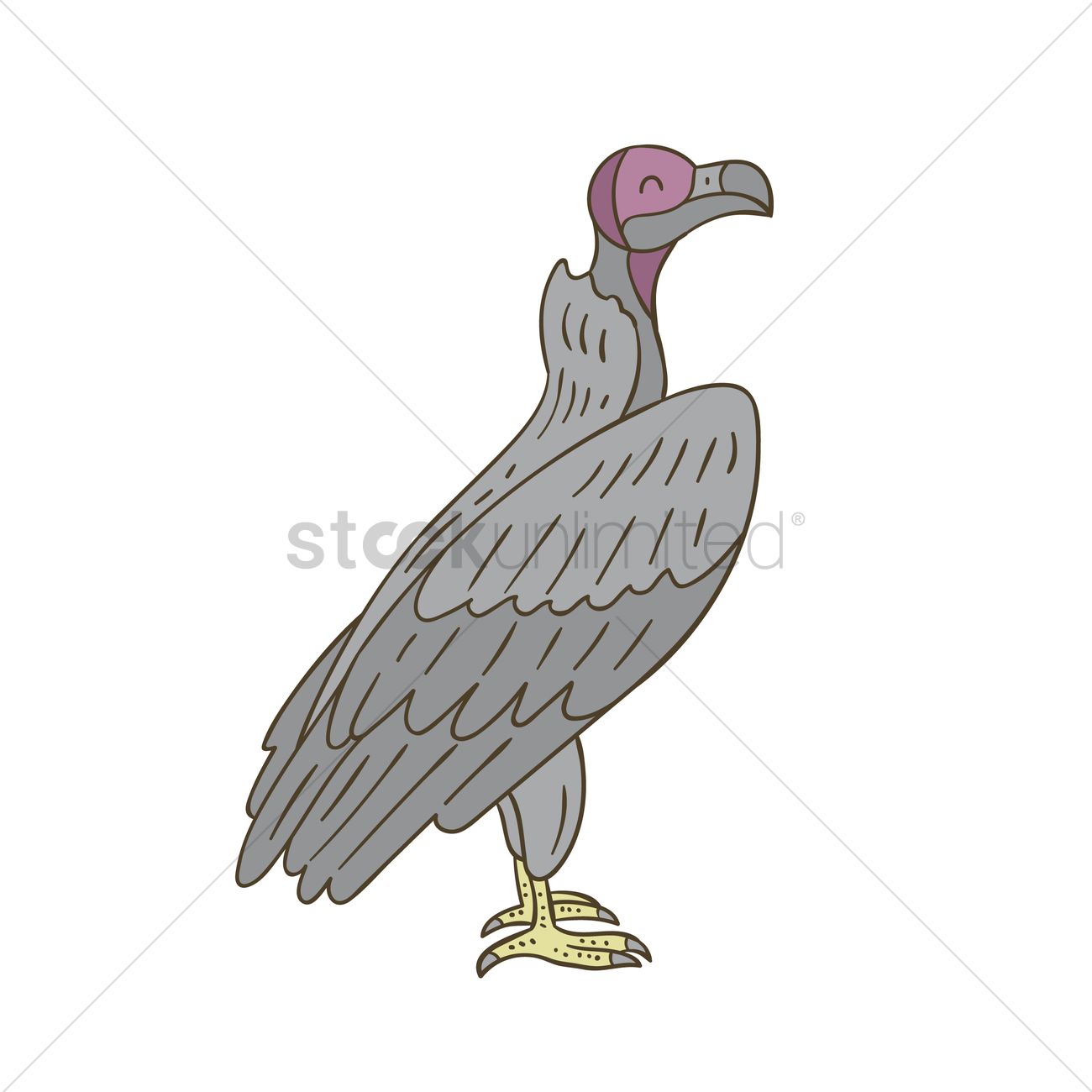 1300x1300 Vulture Vector Image