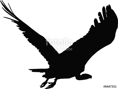 500x376 Vulture Vector Stock Image And Royalty Free Vector Files On