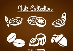 286x200 Walnut Free Vector Art
