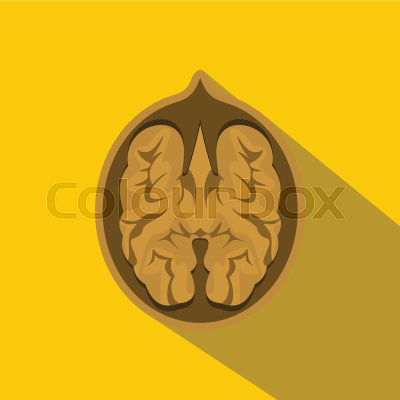 800x800 Walnut Icon. Flat Illustration Of Walnut Vector Icon For Web On