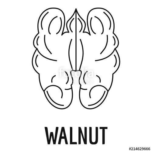 500x500 Walnut Icon. Outline Illustration Of Walnut Vector Icon For Web