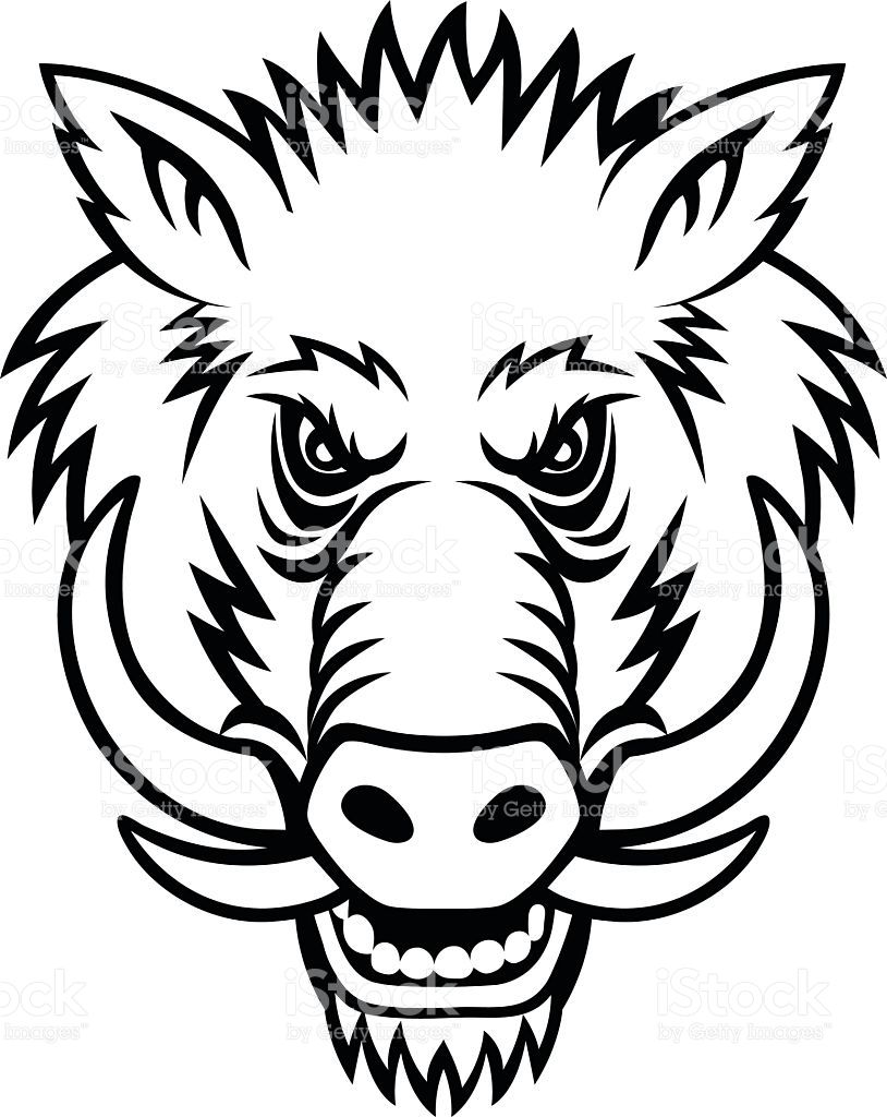 814x1024 Image Result For Warthog Vector
