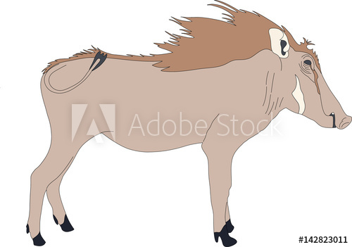 500x351 Portrait Of A Standing Warthog, Hand Drawn Vector Illustration