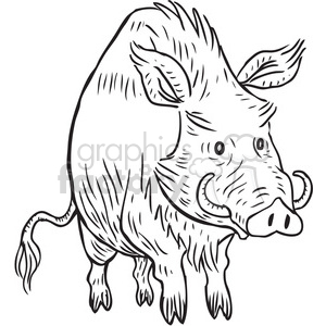 300x300 Royalty Free Warthog 397084 Vector Clip Art Image