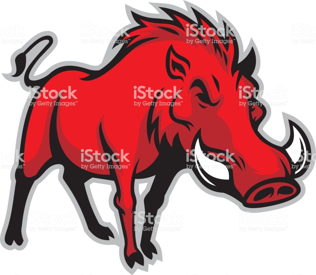 1024x891 Warthog Clipart Wild Boar