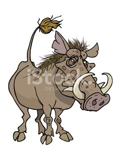 240x299 Warthog Stock Vectors