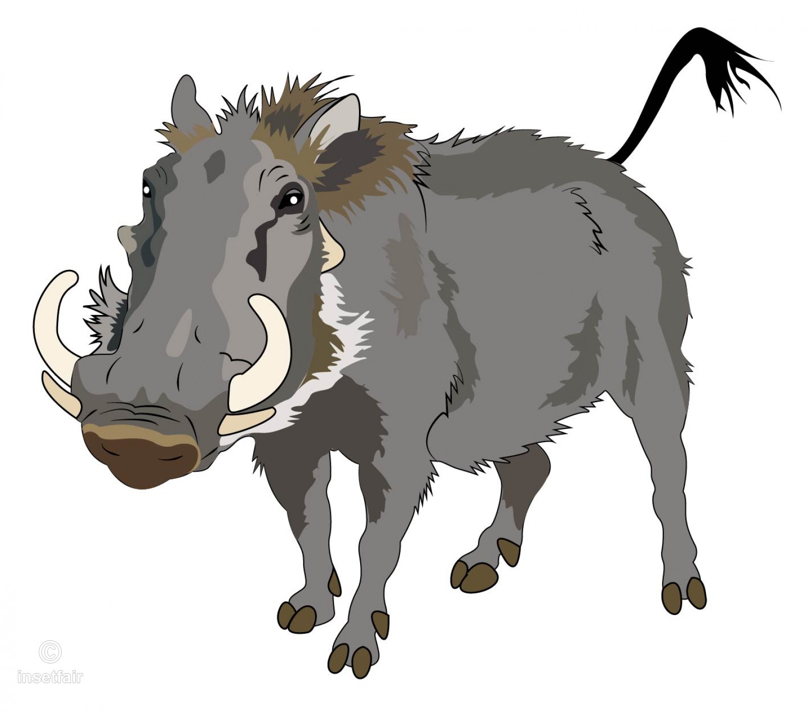 1600x1409 Warthog Wild Animal Vector Illustration