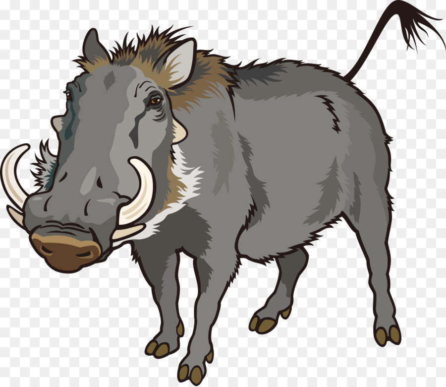 900x780 Common Warthog Can Stock Photo Clip Art