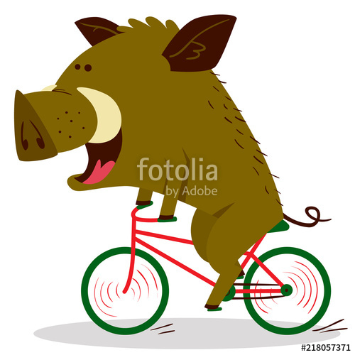 500x500 Cute Boars Or Warthog Character Riding A Bicycle. Vector