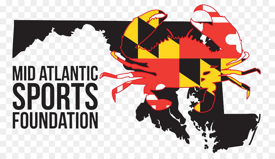 900x520 Washington, D.c. Vector Map