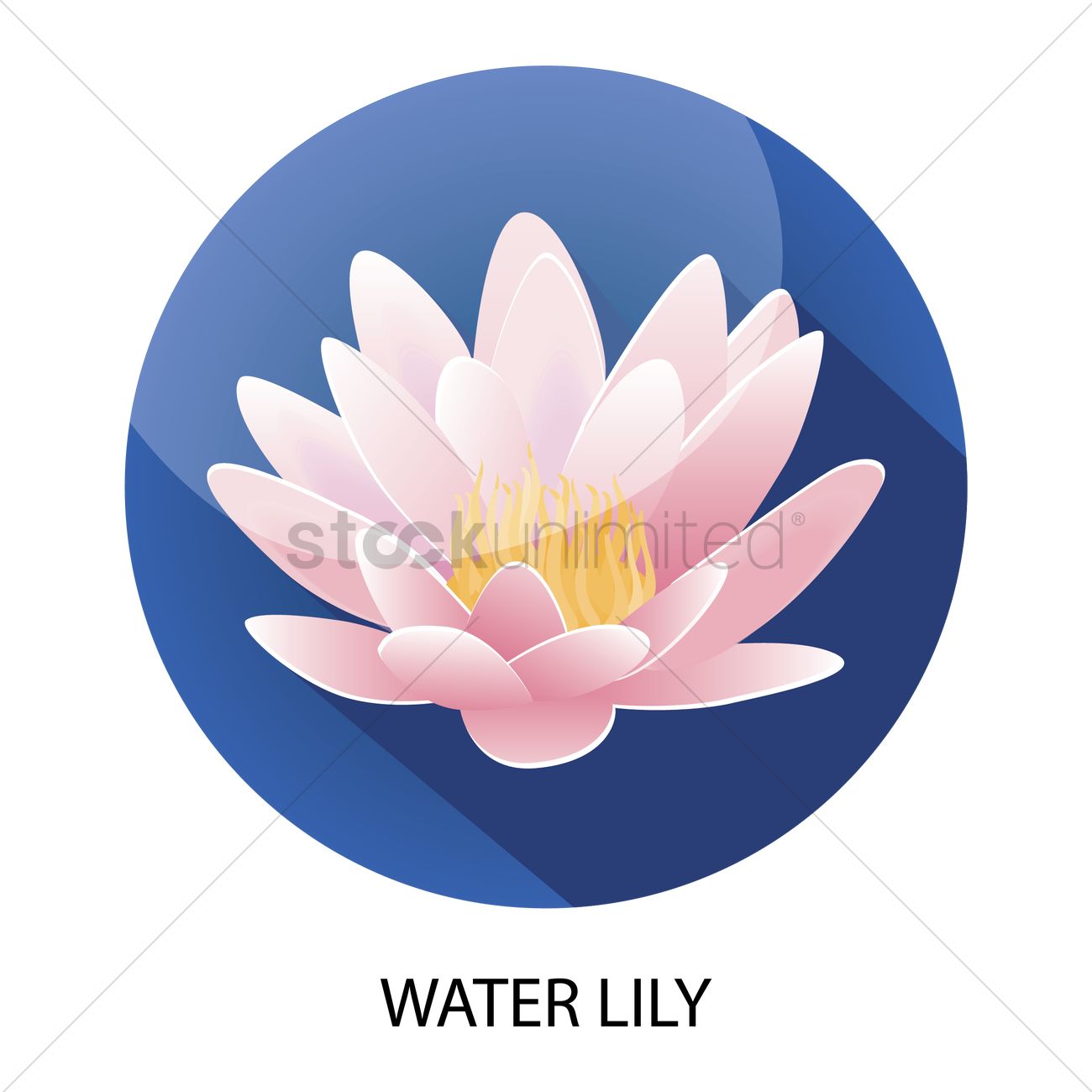 1300x1300 Water Lily Vector Image