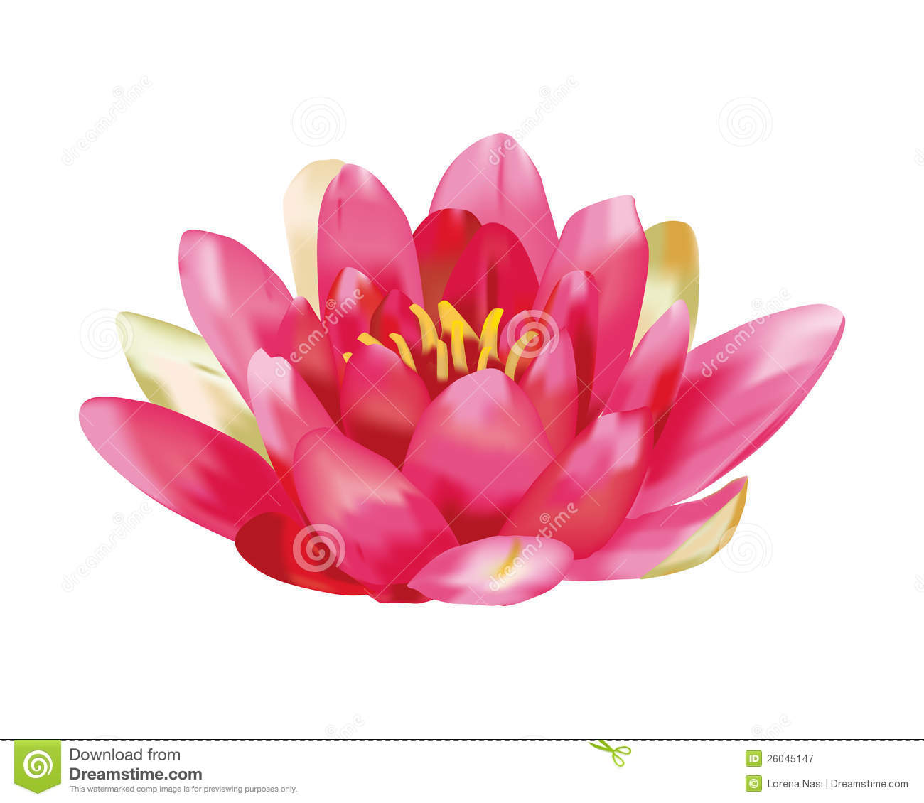 1300x1130 Water Lily Vector Free Download