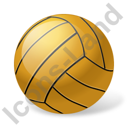 256x256 Vector Volleyball