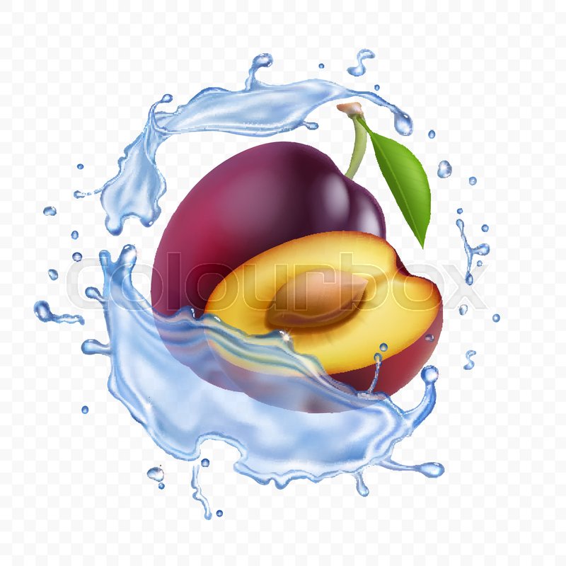 800x800 Ripe Plums With Green Leaves In Water Splash Vector Icon