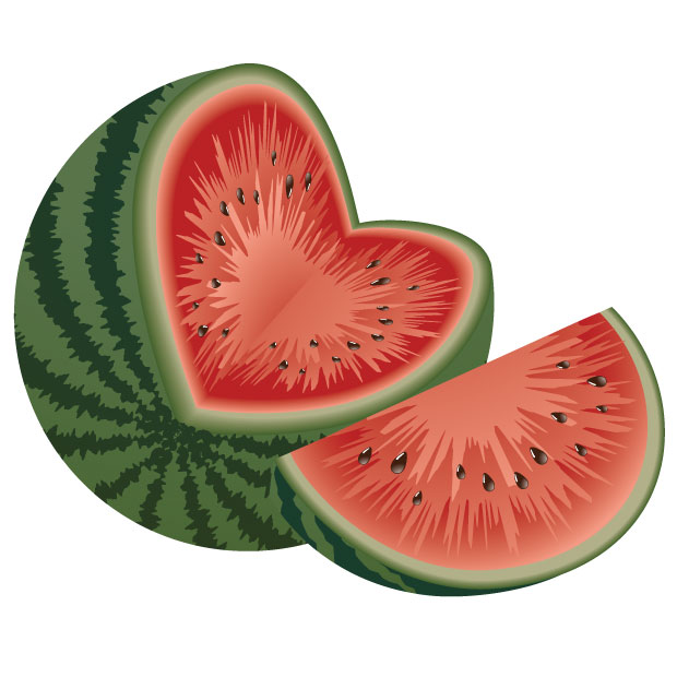 620x620 Watermelon Vector