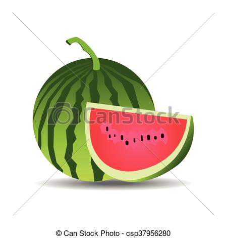 450x470 Watermelon Vector.