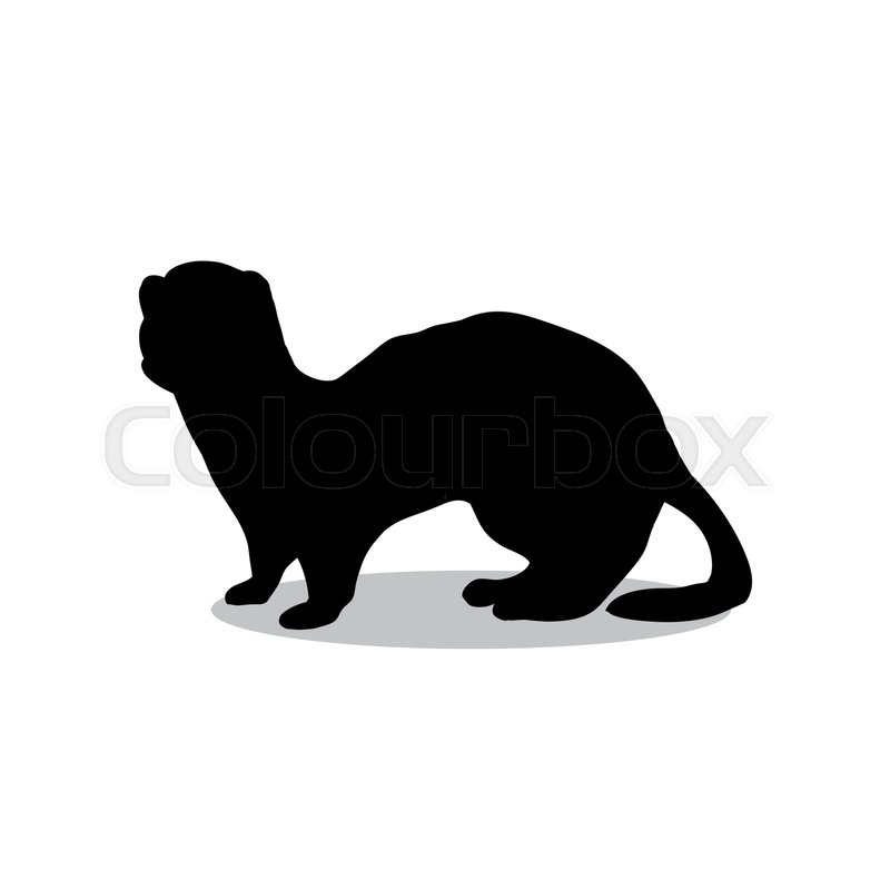 800x800 Ferret Weasel Ermine Mammal Black Silhouette Animal. Vector