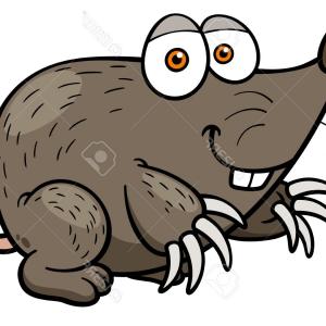 300x300 Weasel Shrew Mole Vector Hand Drawn Illustration Weasel Shrew Mole