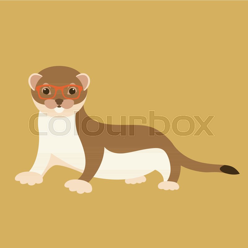 800x800 Weasel In Glasses Vector Illustration Flat Style Front Side
