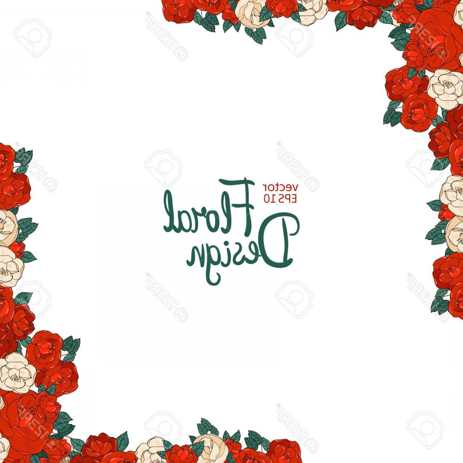 1560x1560 Photostock Vector Vintage Wedding Border With Beautiful Red Roses