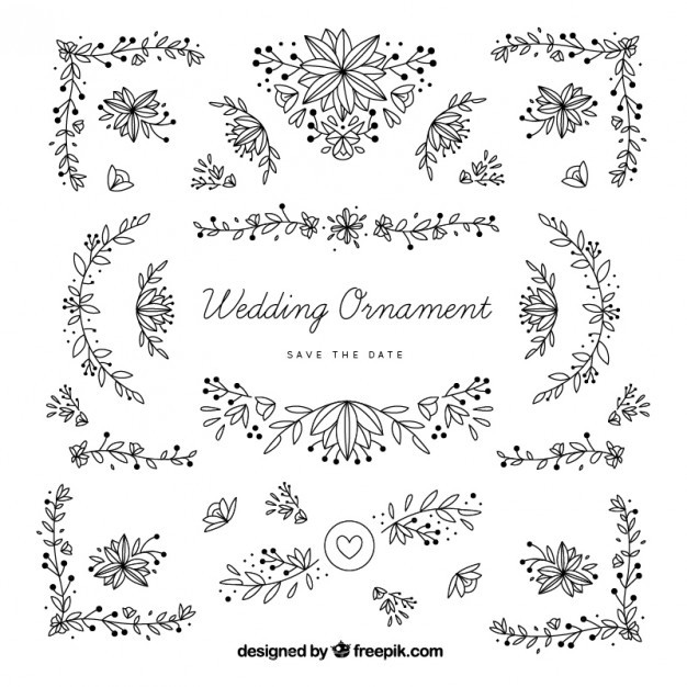 626x626 Ai] Hand Drawn Wedding Ornaments With Leaves Vector Free Download
