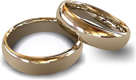 455x268 Free Wedding Ring Vector 2 Clipart And Vector Graphics