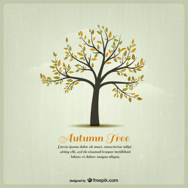 626x626 Autumn Tree Template Vector Free Download