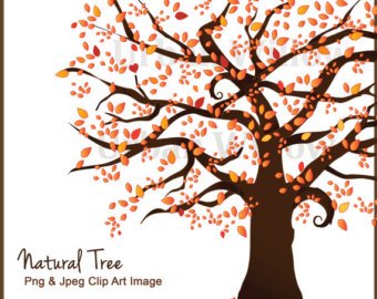 340x270 Vector Family Tree Etsy