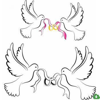 350x350 Free Vector Wedding Vector White Wedding Doves With Rings 1.39mb