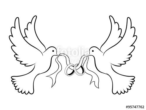 500x375 Wedding Dove With Ring Black Stock Image And Royalty Free Vector