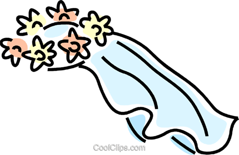 480x313 Bridal Veil Royalty Free Vector Clip Art Illustration Vc045803