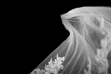 Transparent Wedding Veil Vector - Wedding Ideas