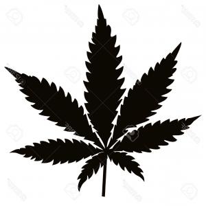 300x300 Stock Vector Marijuana Leaf Silhouette Vector Lazttweet