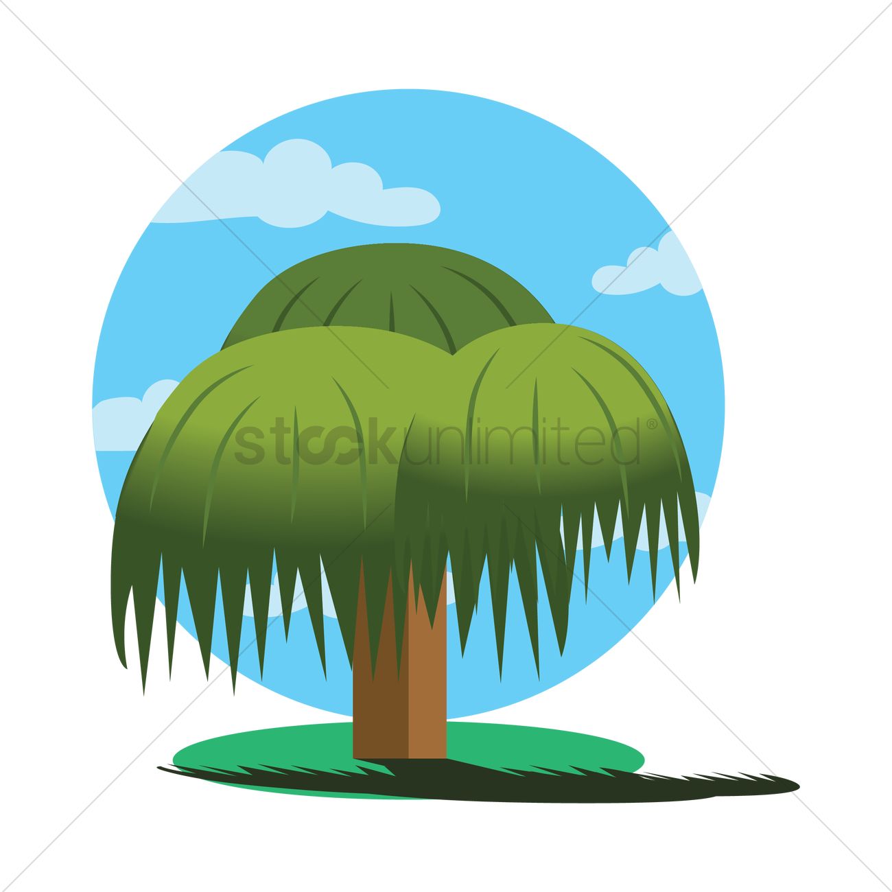 1300x1300 Weeping Willow Tree Vector Image