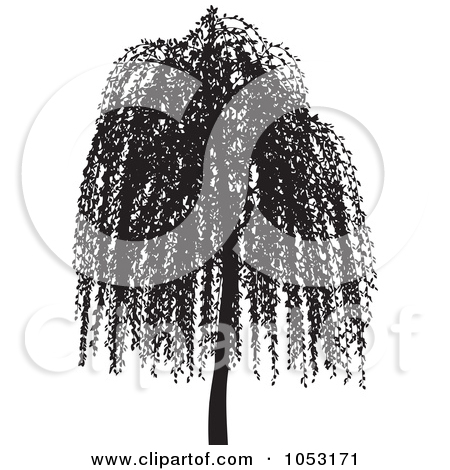 450x470 Willow Tree Silhouette Clipart