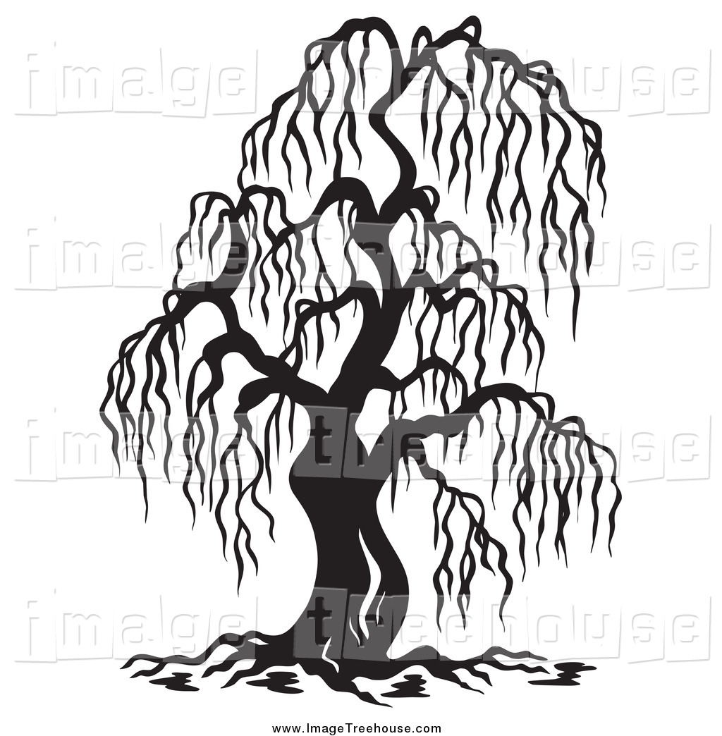 1024x1044 Black And White Willow Tree And A Fox Clipart