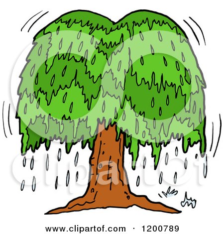 450x470 Royalty Free (Rf) Weeping Willow Tree Clipart, Illustrations